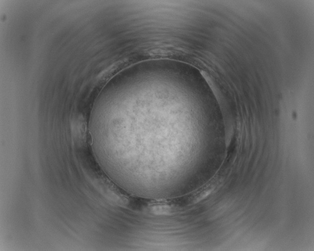 X0000067390228200604131939