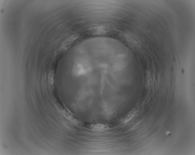 X0000067390230200604131939