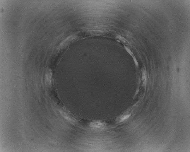 X0000067390231200604131939