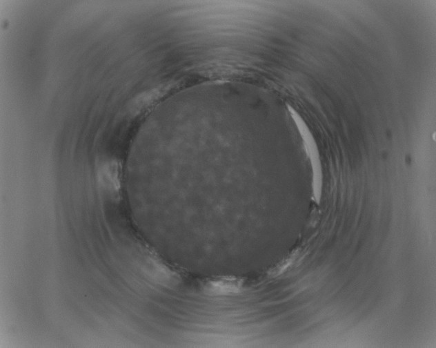 X0000067390232200604131939