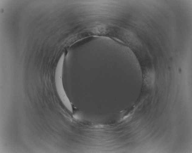 X0000067390233200604131939