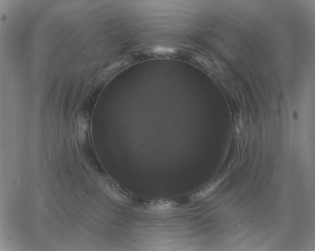 X0000067390235200604131939