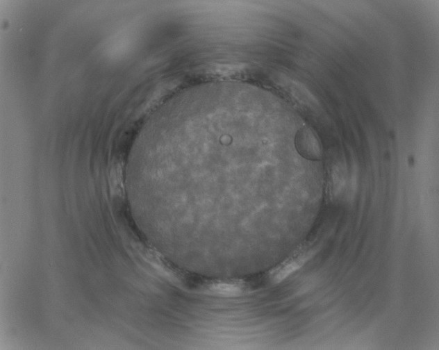 X0000067390236200604131939