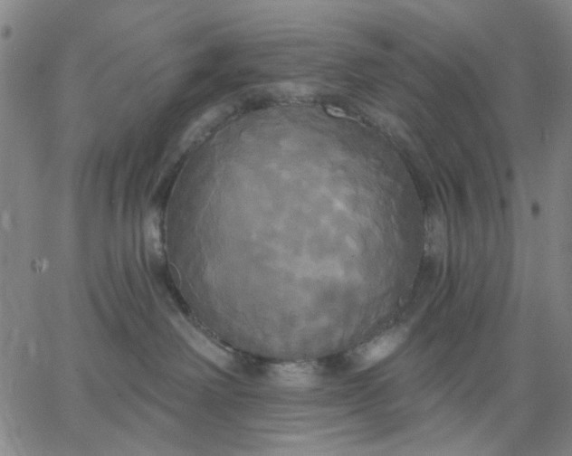 X0000067390238200604131939