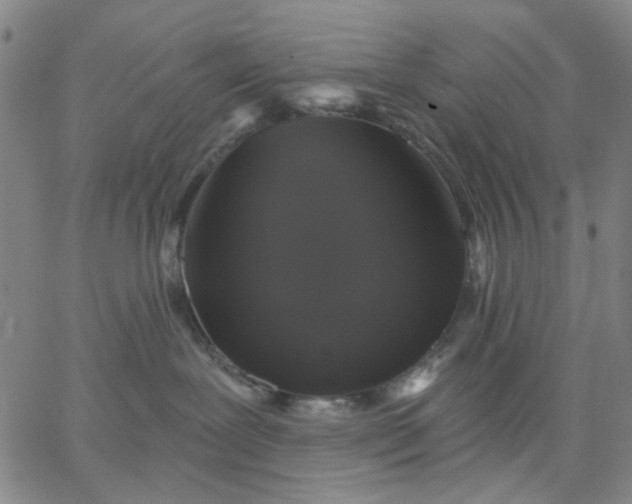 X0000067390239200604131939