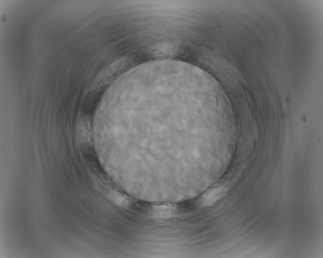 X0000067390240200604131939