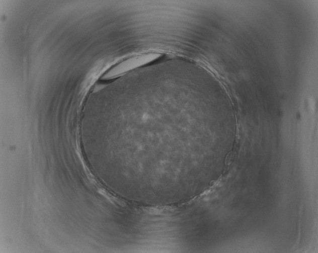 X0000067390241200604131938