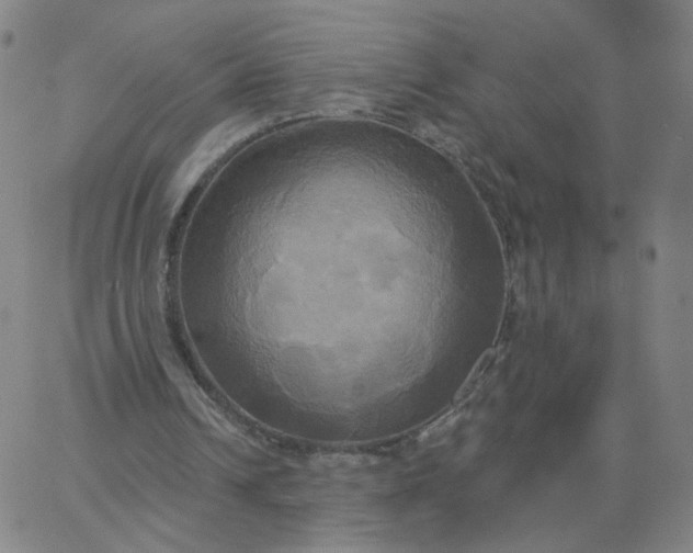 X0000067390242200604131939