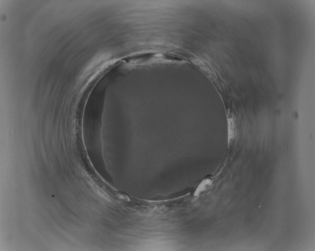 X0000067390243200604131939