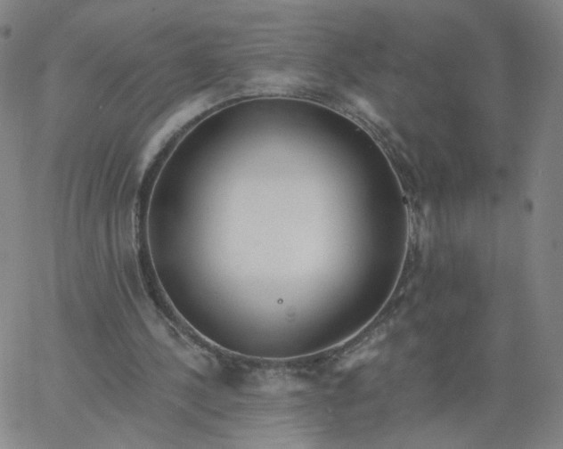 X0000067390244200604131939