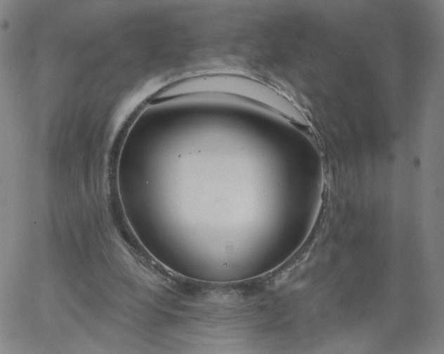 X0000067390248200604131939