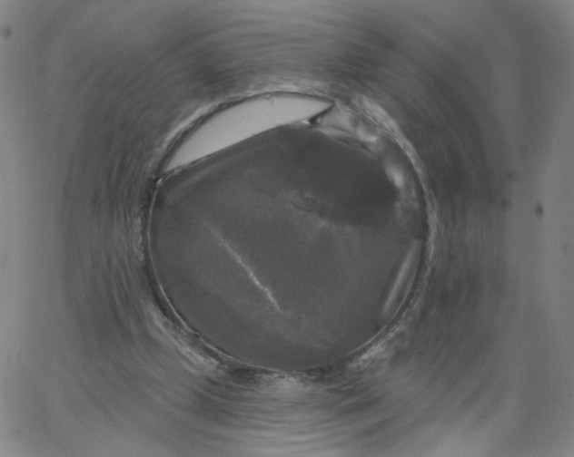 X0000067390249200604131939