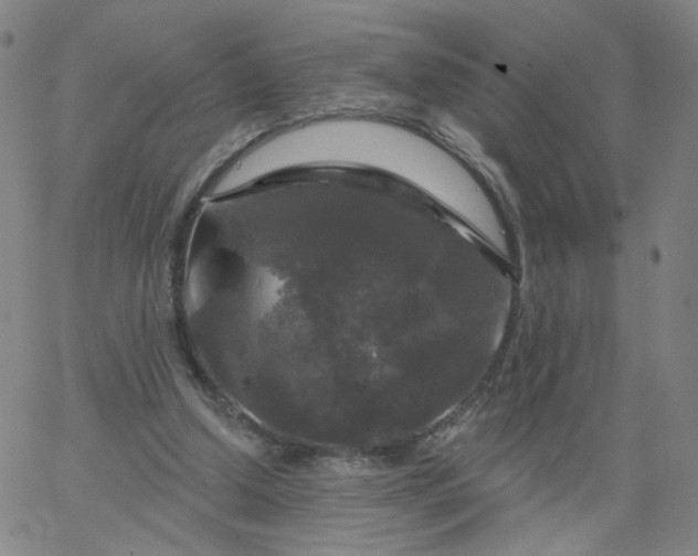 X0000067390250200604131939