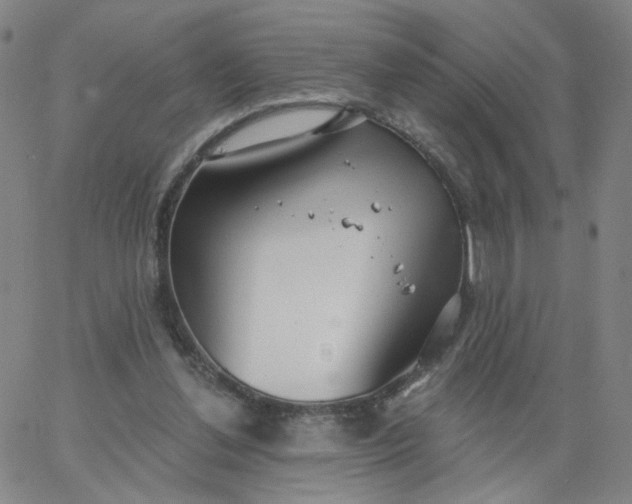 X0000067390252200604131939