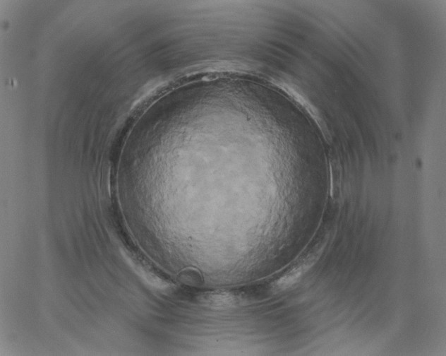 X0000067390253200604131939