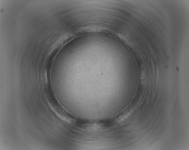 X0000067390254200604131939