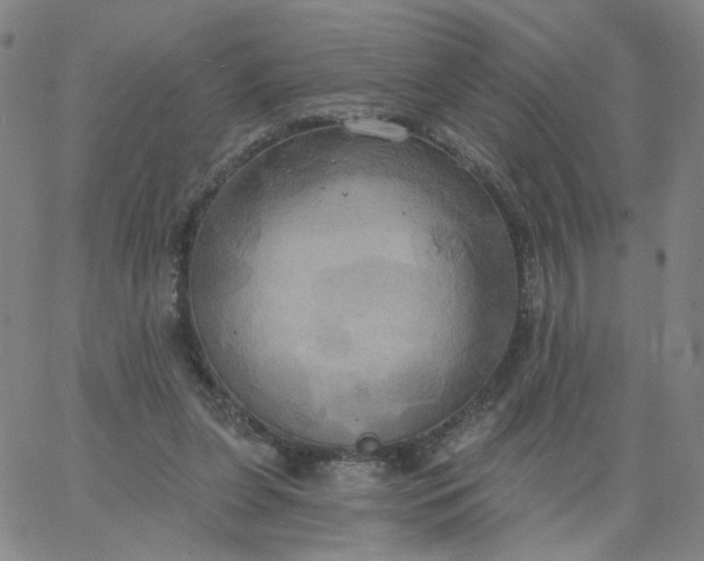 X0000067390255200604131939