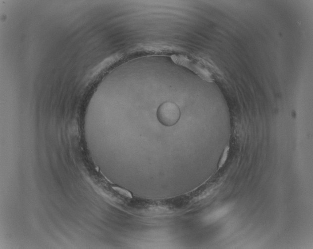 X0000067390256200604131939