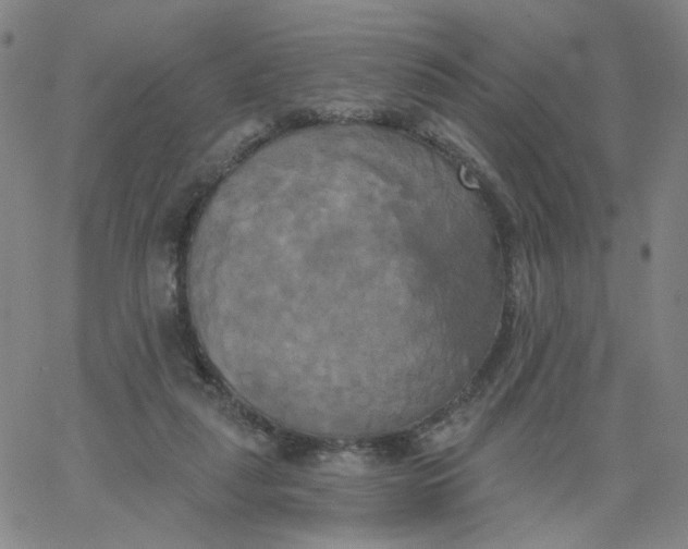 X0000067390259200604131939