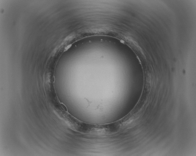 X0000067390260200604131939