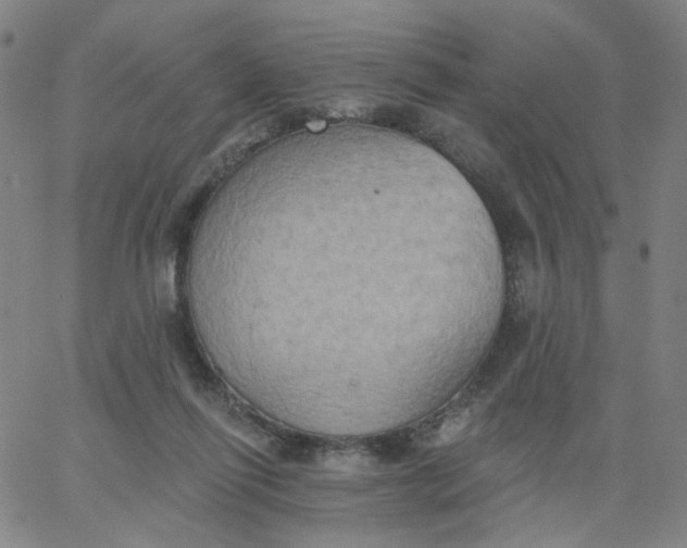 X0000067390262200604131939