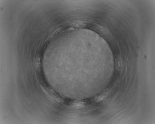 X0000067390263200604131939