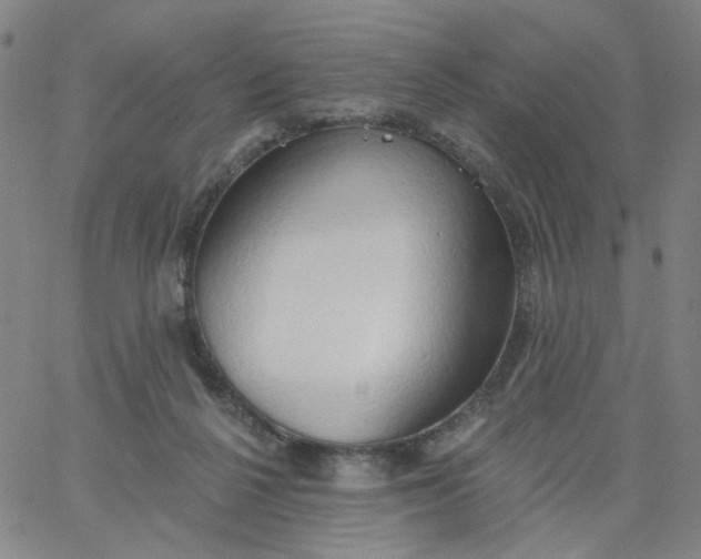 X0000067390264200604131939