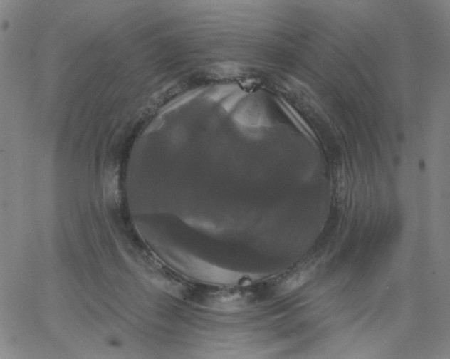 X0000067390267200604131939