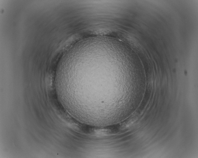 X0000067390268200604131939