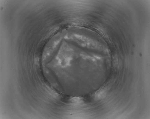 X0000067390269200604131939