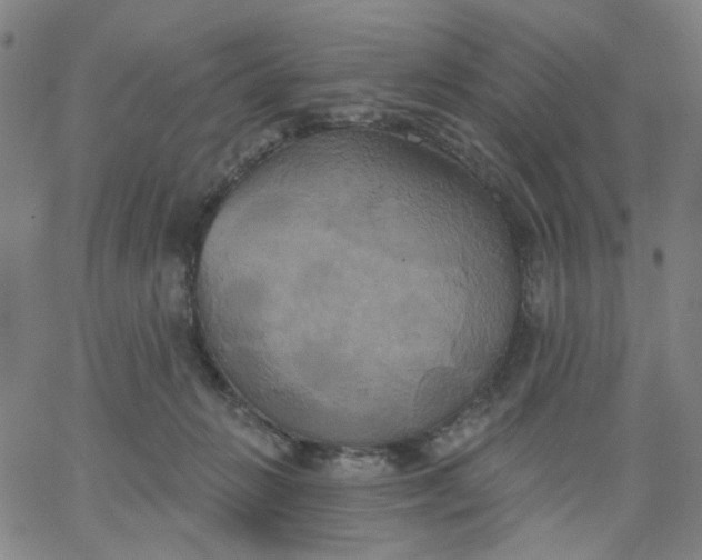 X0000067390270200604131939