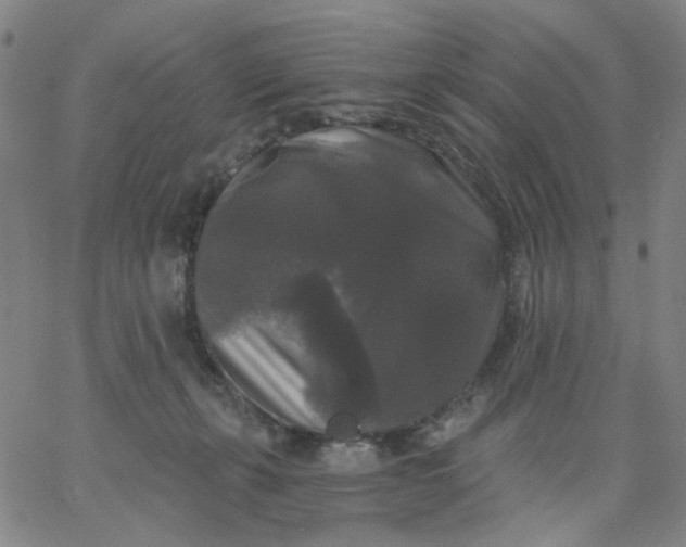 X0000067390271200604131939