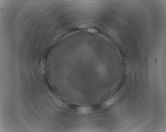 X0000067390273200604131939