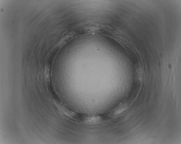 X0000067390274200604131939