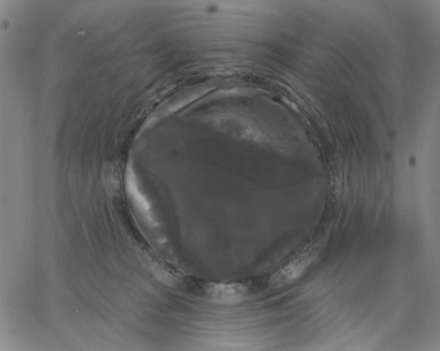 X0000067390277200604131939