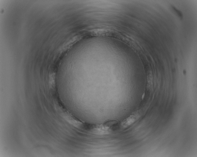 X0000067390278200604131939