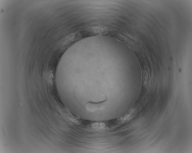 X0000067390279200604131939