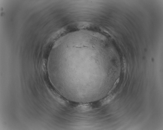 X0000067390280200604131939