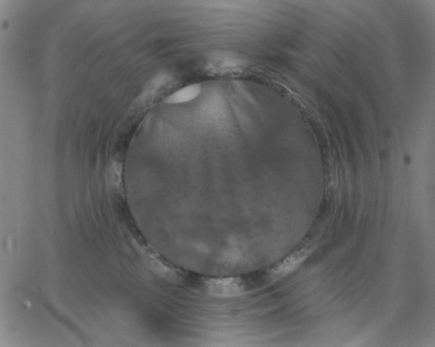 X0000067390281200604131939