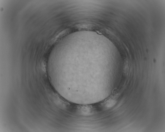 X0000067390282200604131939