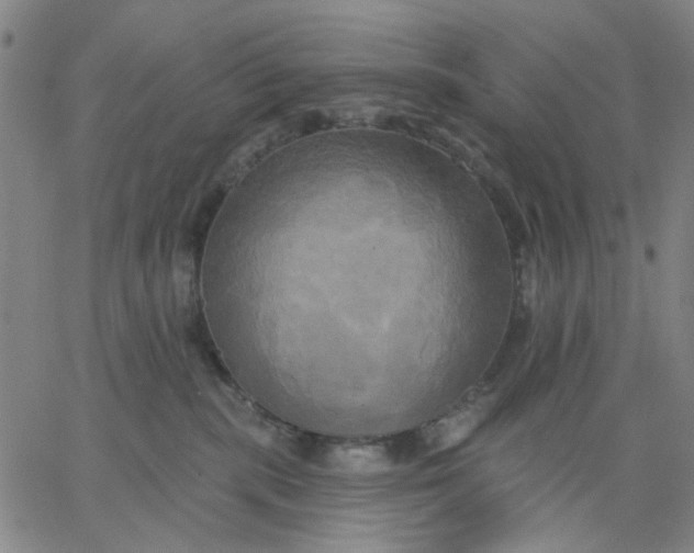 X0000067390283200604131939