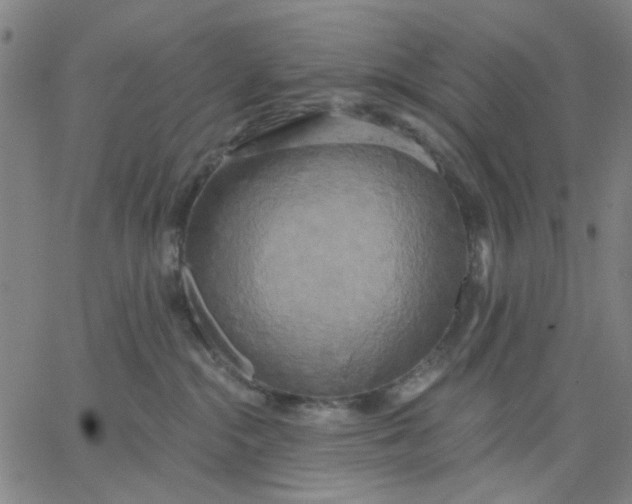 X0000067390284200604131939