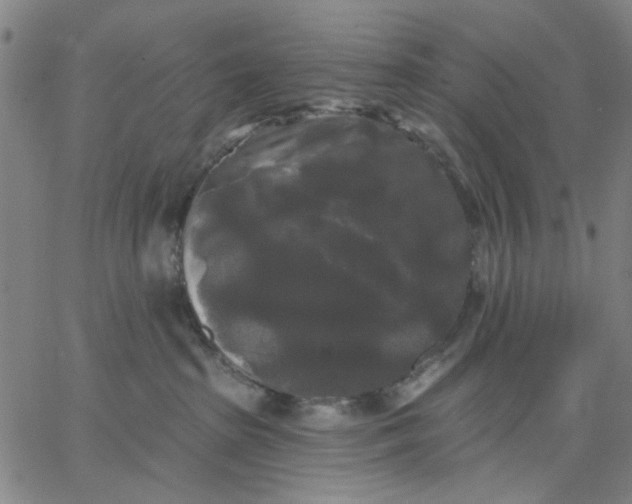 X0000067390285200604131939