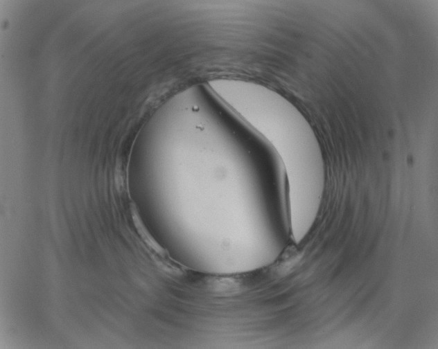 X0000067390287200604131939