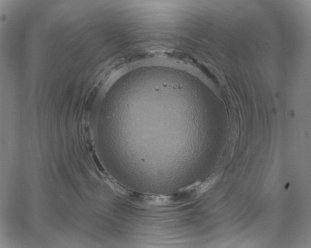 X0000067390288200604131939