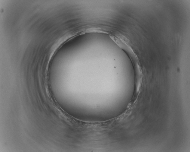 X0000067390289200604131938