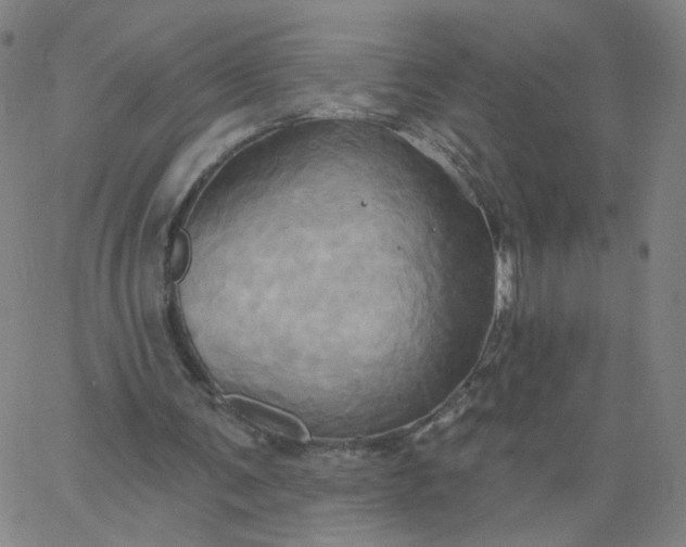 X0000067390291200604131938