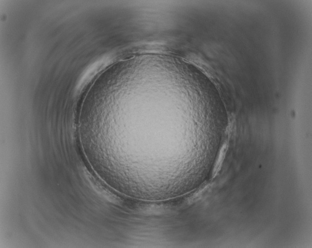 X0000067390293200604131938