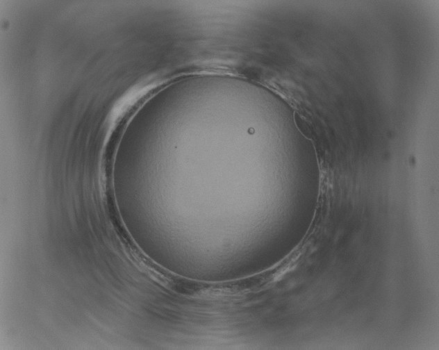 X0000067390294200604131938