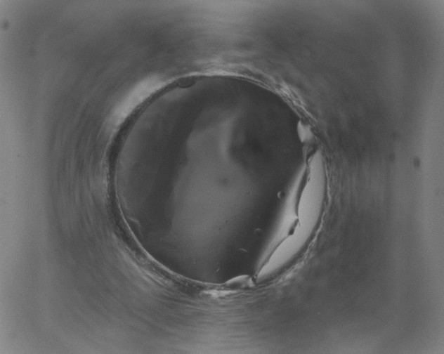 X0000067390295200604131938